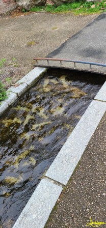mini fleuve