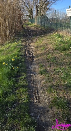 chemin boueux