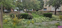 place fleurie