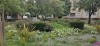 place fleurie