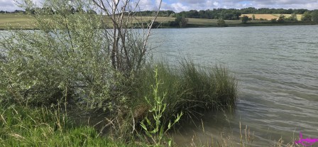 lac