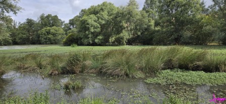 lac3