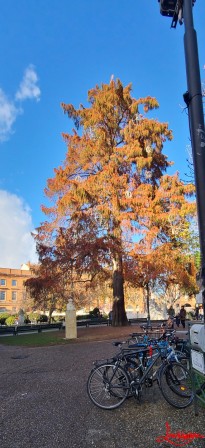 velos parc