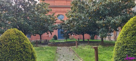 dome verdure