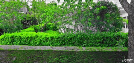 ville verdure