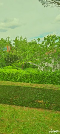 ville et verdure