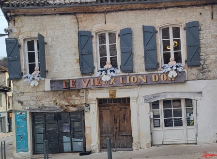 le vieux lion dort