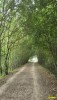 allee