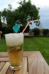 mojito.jpg