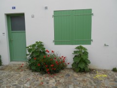 iledere0062.jpg