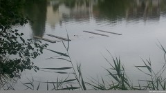 balade0026.jpg