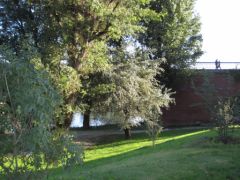garonne.JPG